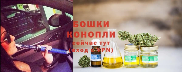 круглые Аркадак