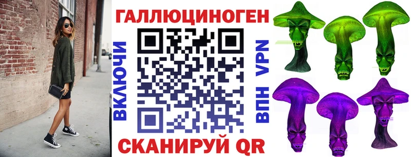 что такое   Куртамыш  Псилоцибиновые грибы Cubensis 